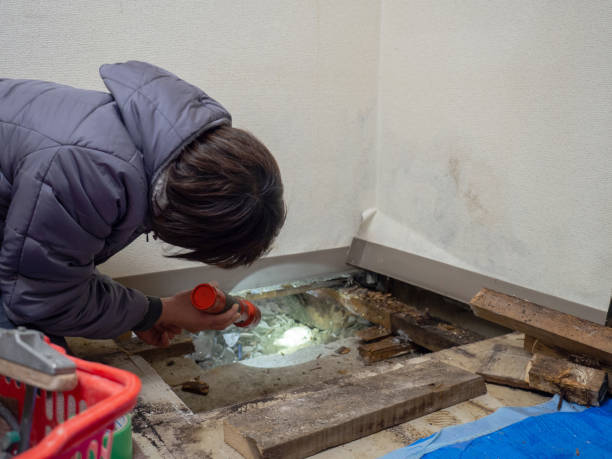 Best Real Estate Mold Inspection  in Boulder Creek, CA