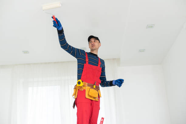 Best Industrial Mold Remediation  in Boulder Creek, CA