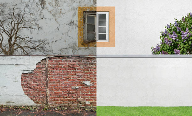 Best Comprehensive Air Testing for Mold Contaminants  in Boulder Creek, CA
