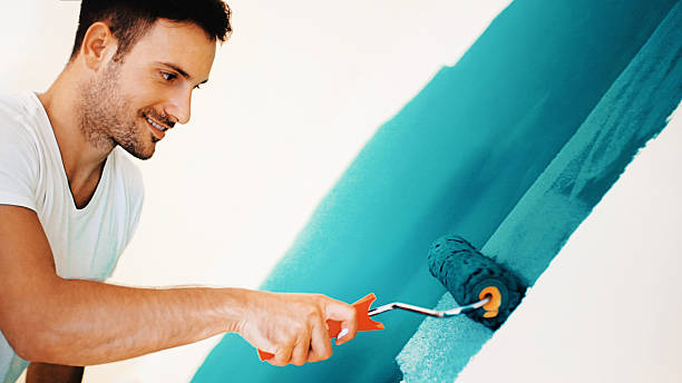 Reliable Boulder Creek, CA Mold Removal Solutions