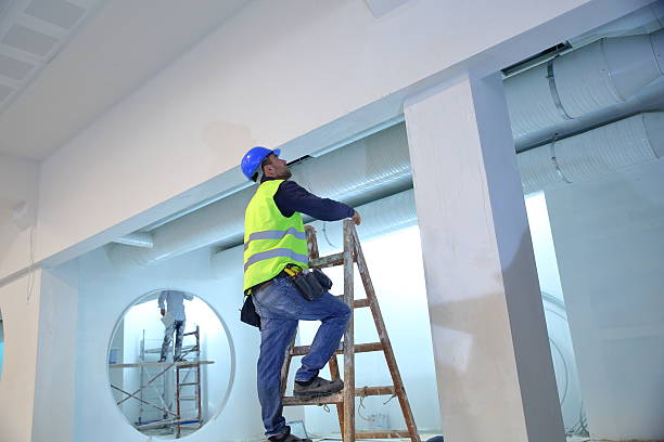 Best Crawl Space Mold Remediation  in Boulder Creek, CA
